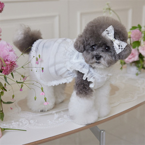 Kangdarpet Summer <b>Dog</b> Cute Dress Pet Skirt <b>Dog</b> Clothes Bow <b>Dog</b> Princess Dress with Lace Decoration for Puppy - Product Image 3