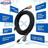 A00009 BeiXing Faisceau de câblage automobile personnalisé étanche IP66 avec isolation en PVC pour voitures et motos