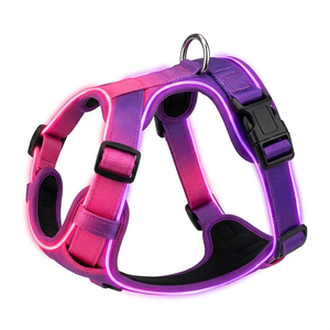 LED Luminous Dog Harness Night Safety Glowing Pet Vest USB Rechargeable Adjustable No-Pull Chest Strap for Large Dogs - Product Image 1