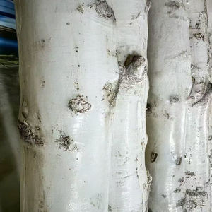 Açık IP65 su geçirmez bahçe ışıkları PE malzeme simüle huş ağacı yerleşik <span class=keywords><strong>LED</strong></span> boncuk çeşitli senaryolar için çoklu yükseklik - Product Image 6