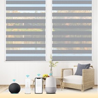 Stores zébrés intelligents contrôlés par WiFi pour les fenêtres domestiques Double couche occultante Sheer Google Battery Powered Day Night Mode Plain