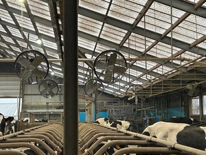 Ventilador Profesional de 38 Pulgadas para Granjas, Montado en la Pared, con Impulsor Curvo hacia Adelante y Rodamientos de Bolas, para Edificios Agrícolas y Gallineros - Product Image 6