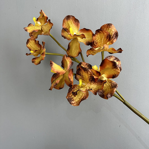 7 têtes Tactile <span class=keywords><strong>Vanda</strong></span> <span class=keywords><strong>Orchidée</strong></span> Fleurs Artificielles Haute Qualité Texture D'humidité Réaliste pour La Décoration Intérieure Mariage Halloween - Product Image 4