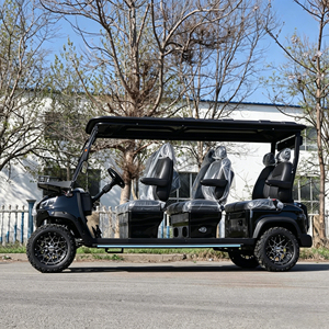 Meilleure Offre : <span class=keywords><strong>Mini</strong></span> Camionnette Utilitaire, Véhicule Agricole, Buggy Électrique, Chariot, Voiturette de <span class=keywords><strong>Golf</strong></span> Électrique (EV) - Product Image 3