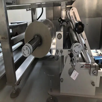 Machine d'emballage automatique multifonctionnelle pour boulettes de viande Siomai Mochi Family Package Horizontal Pillow Flow Packing Machine
