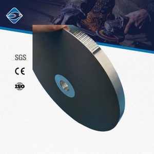 Disco de Pulir de CBN Electrochapado de Alta Calidad de 300 mm, Grano 80, Afilador de Cuchillos, Herramienta de Precisión para Metales Ferrosos - Product Image 2