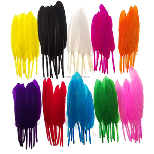 Plumas de Ganso Coloridas para Decoración de Escenarios y Fotografía, Halloween, Carnaval, Navidad, Día de la Independencia, Fiestas, Disfraces y Accesorios - Product Image 6