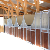 Box de stockage modulaire portable pour chevaux TY, panneaux avant de box galvanisés à chaud, porte hollandaise, 2,5x4m, abri préfabriqué extérieur, garantie 3 ans