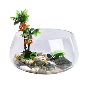 Recycled glass slant bowls planter clear glass round terrarium with wooden base