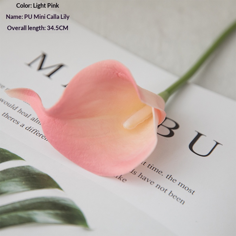 Rose tendre