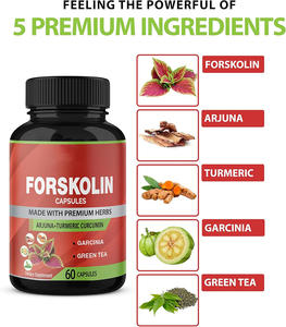 Kapsul <span class=keywords><strong>Forskolin</strong></span> ultratipis, Suplemen Herbal ekstrak akar rambut yang efektif biaya - Product Image 2