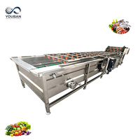 YouBan Multifunctionele Luchtbelwasmachine voor bladgroenten en fruit CE