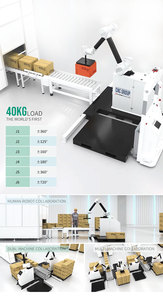 Paletizador Robótico Automático de 6 Ejes para Cajas de Cartón, Brazo Robótico con Capacidad de Carga de 30KG 50KG - Product Image 6