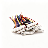 Kabel Harness Konektor Multi-Warna 10-Pin JST XH 2.54mm Custom Pabrik /CE dengan Kawat Tembaga Berlapis Timah untuk Sepeda Motor dan Mobil