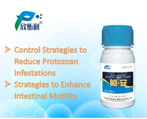 Hỗn hợp thức ăn phụ gia bò 'phenol tăng lượng thức ăn thúc đẩy tăng trưởng cho động vật thủy sản, gia cầm và chăn nuôi - Product Image 2