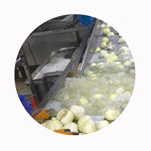 Cebollas Frescas Congeladas IQF SHARP DRAGON, Peladas, Blancas, de Invernadero, en Rodajas, Saludables, Naturales, Precio al por Mayor para Compradores a Granel, Grado <span class=keywords><strong>2</strong></span> - Product Image 4