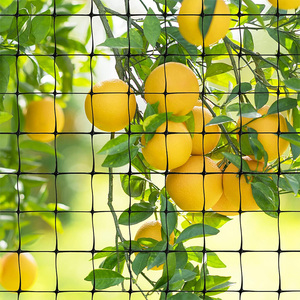 Étangs de fruits et légumes personnalisés protégeant les filets de pêche en nylon anti-oiseaux pour oiseaux - Product Image 4