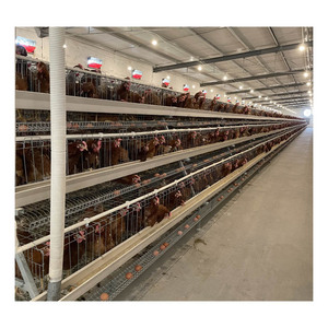 Gelişmiş 10k-50k tavuk run metal 4 katlı horoz kafes nijerya'da satılan - Product Image 3