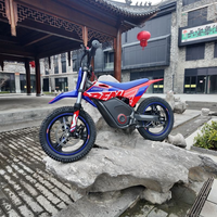 Sepeda Gunung Listrik Apollo RFN Warrior Anak-Anak Rangka Aluminium Baterai Lithium Line SX-E150 SX-E350 SX-E500 E-Bike Anak