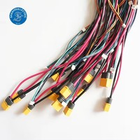 Konektor Baterai Amass Electronics Custom XT30 XT60 XT90 TUV untuk Opsi Molex/JST/JAE Kabel Harness Pin yang Dapat Disesuaikan