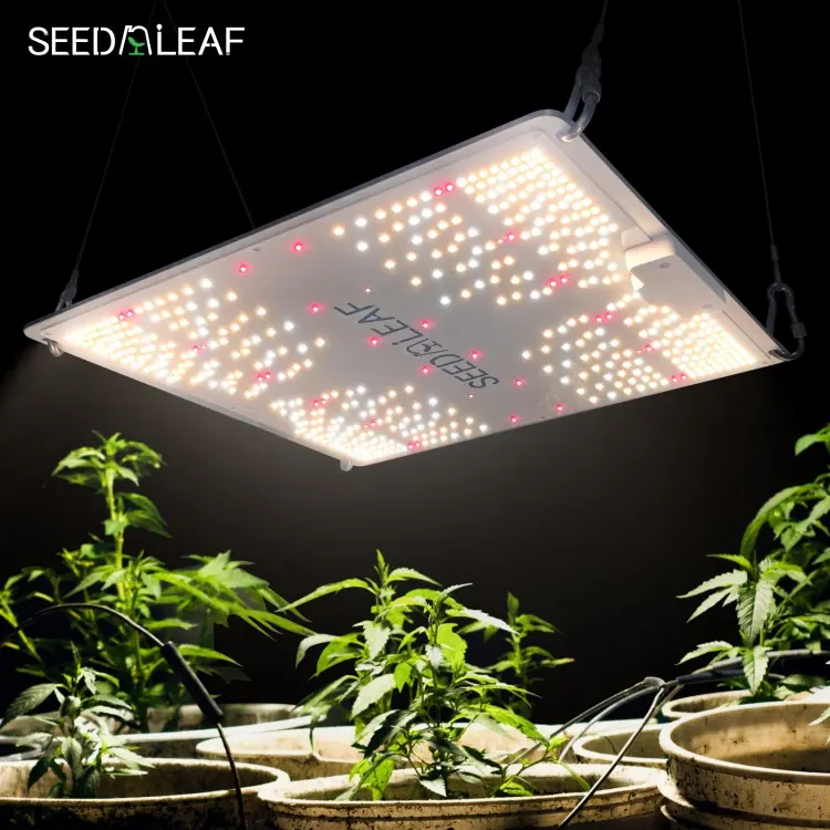 Indoor nleaf kapalı bitkiler büyümek Led büyümek işık ayarlanabilir sera tarım Led büyümek işık