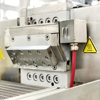 Machine à extrusion de vis, 100%, biodégradable PLA/PBAT, maïs, manioc, amidon, plastique, granulés, jumeaux