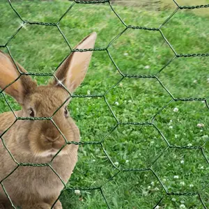 ウサギケージチキンワイヤーメッシュネット鳥小屋植物ネット