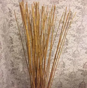 Agriculture bambus stick