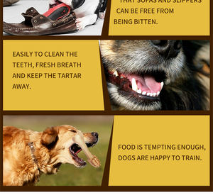 Mascarilla dental para perros, productos para mascotas, precio de fábrica - Product Image 6