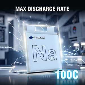 Paragonage 100c Túi Natri pin 3.0V 5.5ah 20Ah tế bào nfpp Túi Natri ion di động - Product Image 3