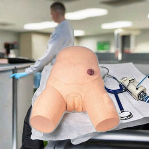 उच्च गुणवत्ता वाली महिला मूत्रमार्ग नर्सिंग मॉडल नए pvc मूत्रमार्ग कैथोलिकरण सिम्युलेटर प्लास्टिक से बना - Product Image 2