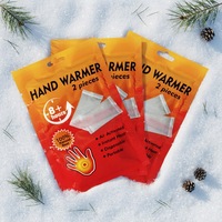 Kit de survie hivernal : chauffe-mains jetables à chaleur instantanée certifiés CE pour usage corporel, kit d'urgence pour voiture et situations de catastrophe