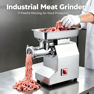 Hachoir à viande électrique en acier inoxydable, hachoir à viande automatique pour la transformation de la viande congelée, monophasé, neuf - Product Image 5