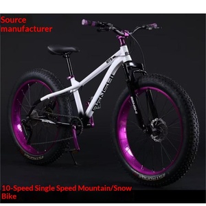 Bicicleta de Montaña para Adultos con Neumáticos Anchos, 10 Velocidades, Frenos de Disco Dobles y Amortiguación, Ideal para Playa y Nieve, Directo de Fábrica - Product Image 4