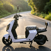 Moto électrique 500W rouge personnalisée avec batterie au lithium 48V, homologuée pour la route, pour la livraison
