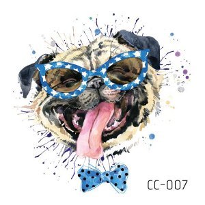CC007