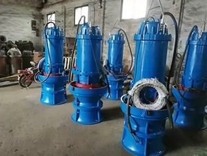 Pompe à eau submersible verticale à flux axial QZ/QZB pour le contrôle des inondations et le drainage, résistante à la sécheresse, 800QZ QZB - Product Image 4