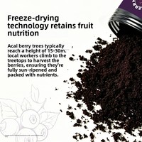Gefreeze-droogde Shanxi Wilde Acai Poeder Acai Fruit Anthocyanine-rijke Pure Berry Superfood Bakken Licht Etenvervanger Blik