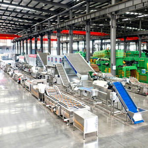 Ligne de traitement automatique des produits laitiers et des fruits DANUBE, équipement industriel en acier inoxydable pour la fabrication de produits laitiers et de fruits, 1000-5000 kg/h - Product Image 1