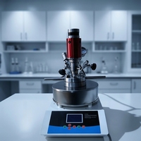 Reactor de Laboratorio Profesional, Tanque de Reacción Química de Alta Presión 316L con Agitador Mecánico de Acoplamiento Eléctrico