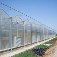Feuille de polycarbonate agricole multi-travées recouvrant la serre à structure en acier Venlo pour une utilisation hydroponique