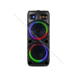 New Private Model Factory Wholesale Dual 12 inch Home Theater System Battery Speaker with LED Light