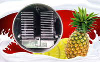 De Beste Xinyang 125m2 Vriesdrogende Fruitmachine
