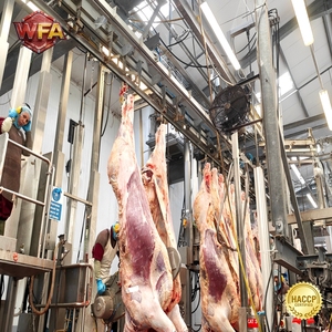 Usine d'abattage complète, équipement d'abattage de bétail, machine d'abattage de vaches, <span class=keywords><strong>boucherie</strong></span> <span class=keywords><strong>halal</strong></span> - Product Image 4