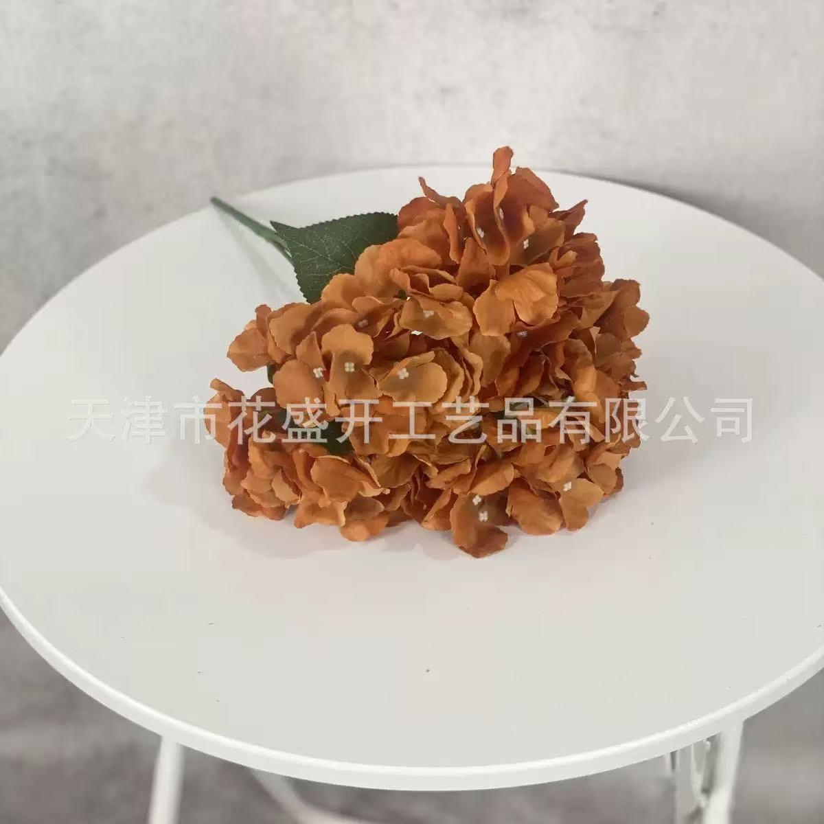Hortensia à 5 têtes marron