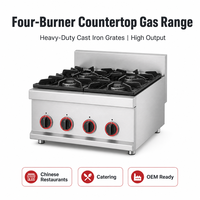 Cuisinière à gaz commerciale pour équipement de restauration, en acier inoxydable, pour pot en terre cuite, puissance 14,2 kW, cuisine cantonaise