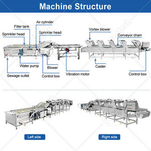 ORME Ligne de lavage, épluchage et découpe de pommes de terre haute capacité, machine de tri et de lavage de carottes et d'avocats - Product Image 2