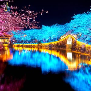 La Artesanía de las Linternas del Patrimonio Cultural Inmaterial Crea Hermosas Vistas Nocturnas de Jardines Orientales - Product Image 6