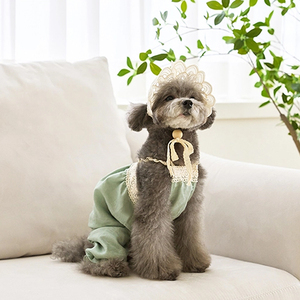 Ropa para perros Mono con ribete de encaje verde para perros pequeños Ropa para perros medianos y grandes Chihuahua <span class=keywords><strong>Shih</strong></span> <span class=keywords><strong>Tzu</strong></span> Yorkshire Terries Ropa - Product Image 4