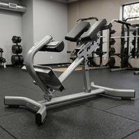 Chaise romaine professionnelle en acier à charge de plaques pour extensions dorsales, équipement de fitness réglable pour les hanches et le bas du dos